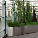 Stainless Steel Planters
